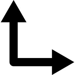 Double arrow angle icon