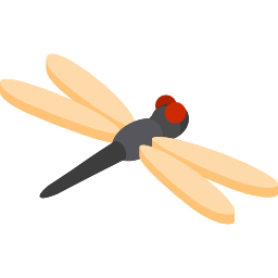 Dragonfly icon