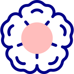 Cherry blossom icon