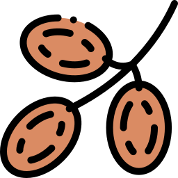 야자 열매 icon
