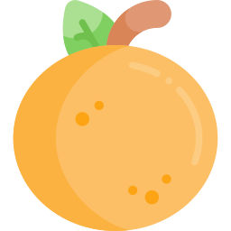 orange icon