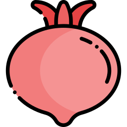 granatapfel icon