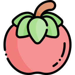 tomate icon