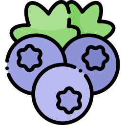 Blueberry icon