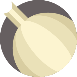 Onion icon