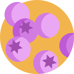 Blueberry icon