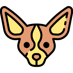 chihuahua ikona