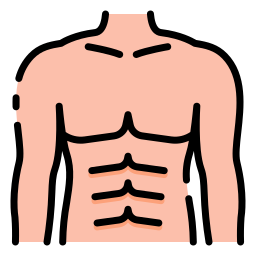 abdominales icono