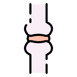 관절 icon
