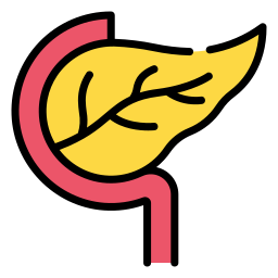 pankreas icon