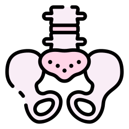 Pelvis icon