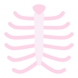 klatka piersiowa ikona