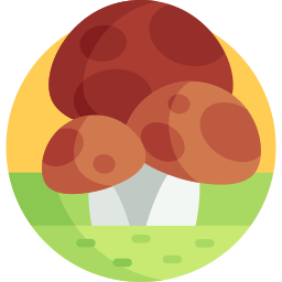 Mushroom icon