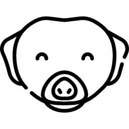 미어캣 icon
