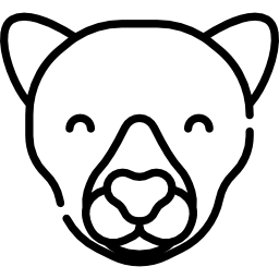 チーター icon