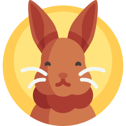 Rabbit icon