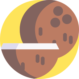 Coconut icon