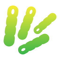 Bacteria icon