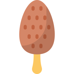 아이스크림 스틱 icon