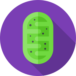 Mitochondria icon