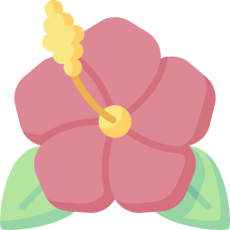 hibiskus icon