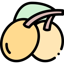 체리 매화 icon