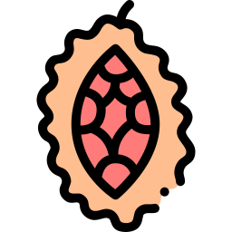 momordica icon