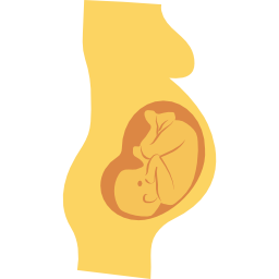 gravidez Ícone