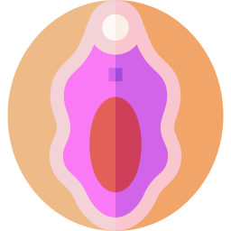 vulva icoon
