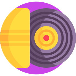 Vinyl icon