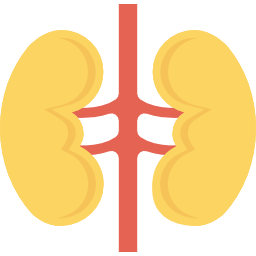 Kidneys icon