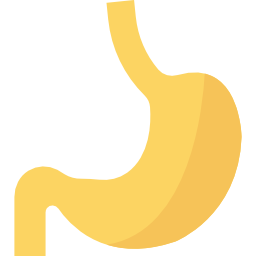 Stomach icon