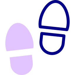 Footprint icon