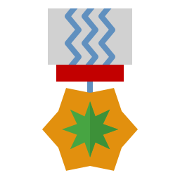 ehrenmedaille icon