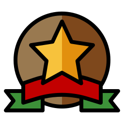 Star medal icon