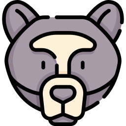 Spectacled bear icon