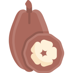 cacao icono