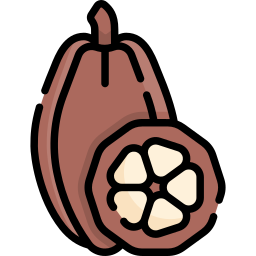 kakao icon