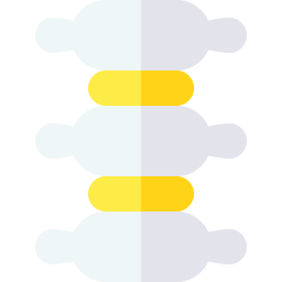 colonna vertebrale icona