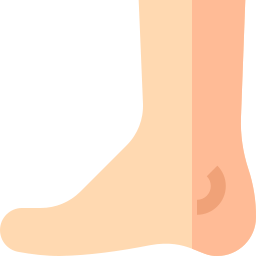 Foot icon