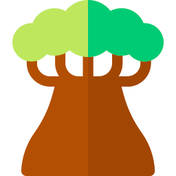 baobab Ícone