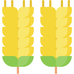 小麦 icon