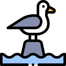 möwe icon