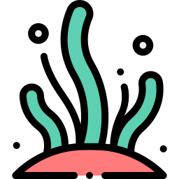 zeewier icoon