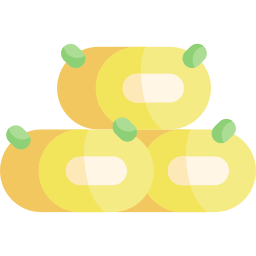 Tamagoyaki icon