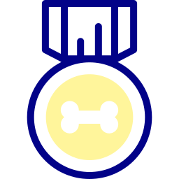 médaille Icône