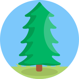 Pine icon