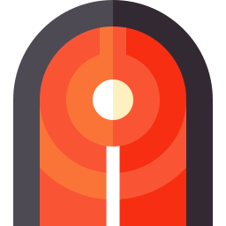 Salmon icon