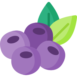 Berries icon