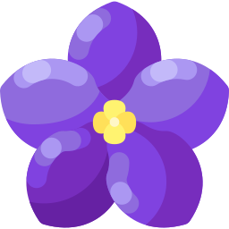 afrikaans viooltje icoon
